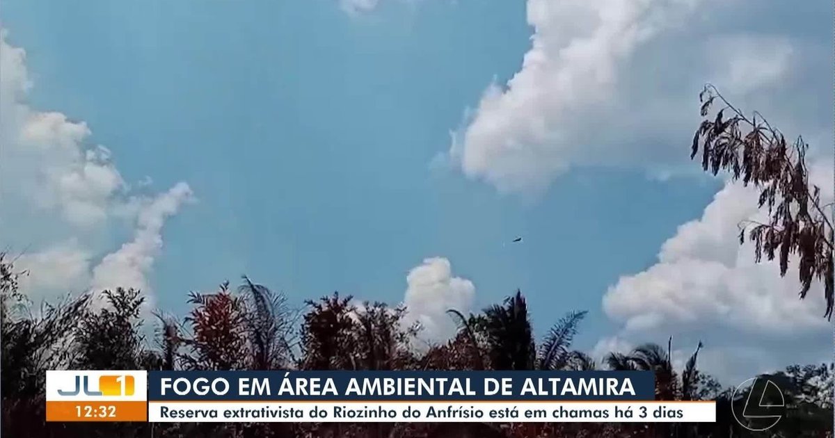 Incêndio atinge reserva extrativista no Pará e seca impede chegada de socorro