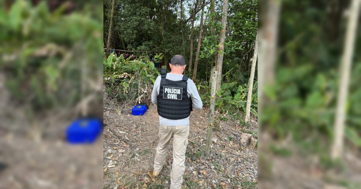 Três corpos carbonizados são achados em mata no Sul de Santa Catarina