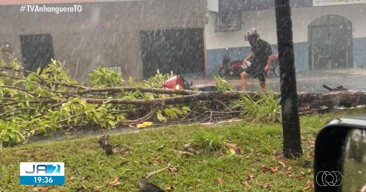 Chuva com ventos fortes derruba árvores e destelha casas em Araguaína