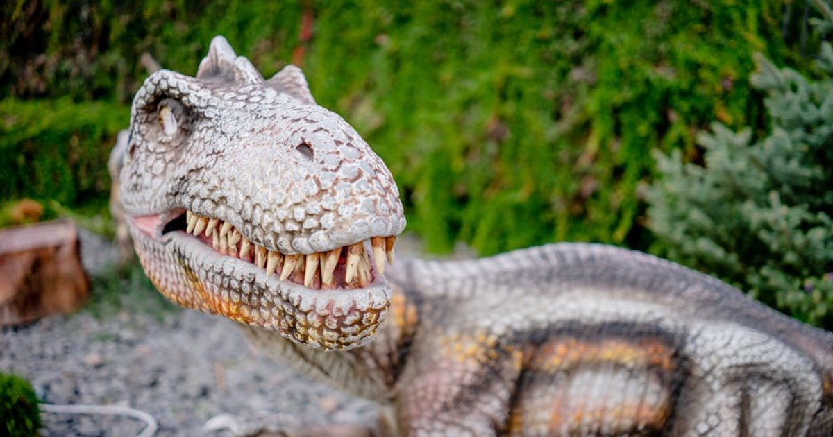 Proposta de Dino para o STF gera reações