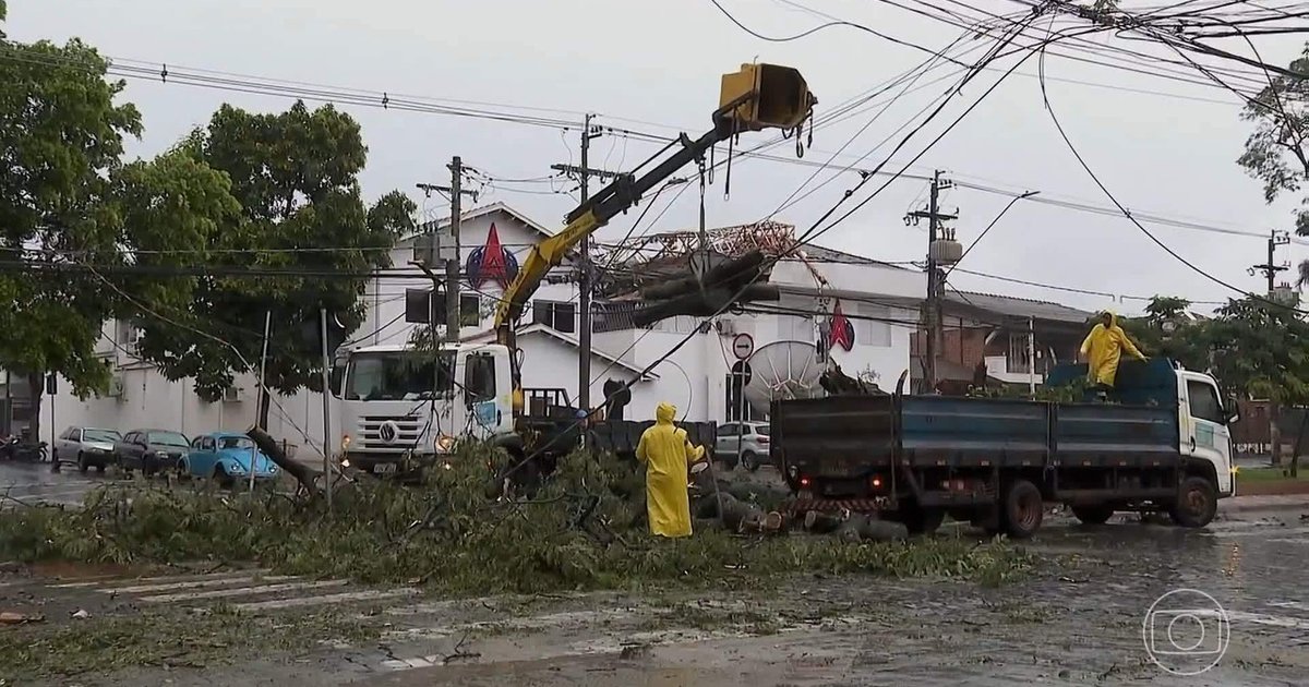 Temporal no interior de SP derruba 250 árvores e deixa 80 mil sem energia