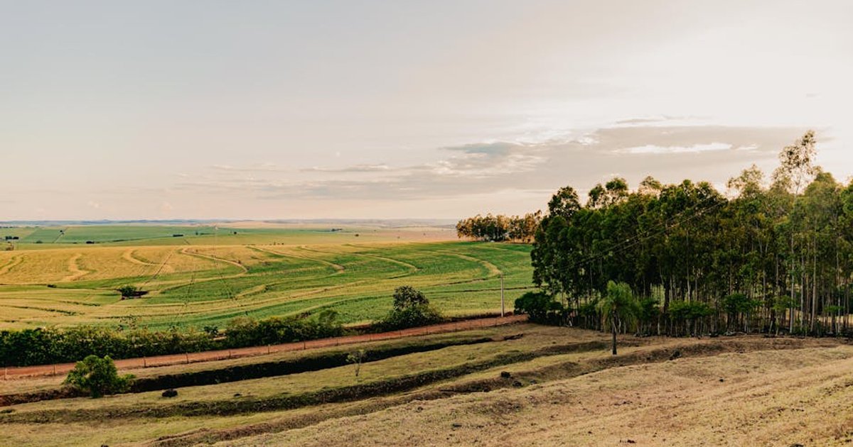 Goiás amplia produção agrícola