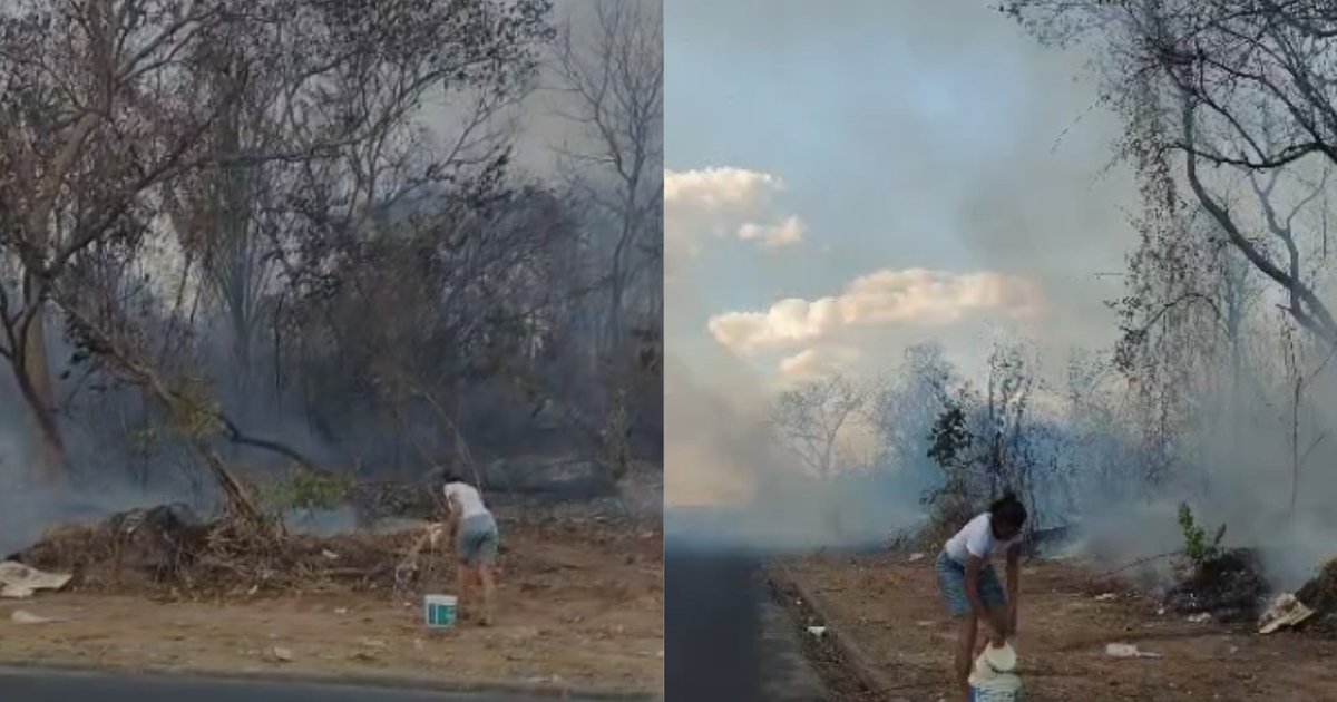 Incendio em vegetacao na Zona Sul de Teresina e uso de baldes por moradores para conter chamas