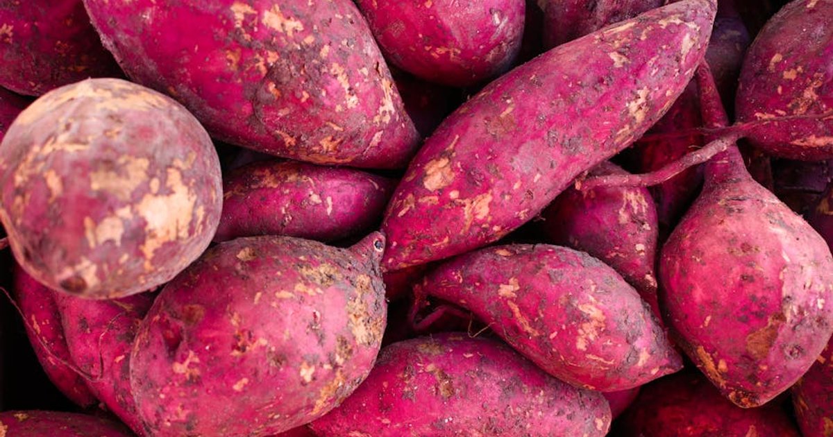 Produção de Batata em Goiás Deve Crescer