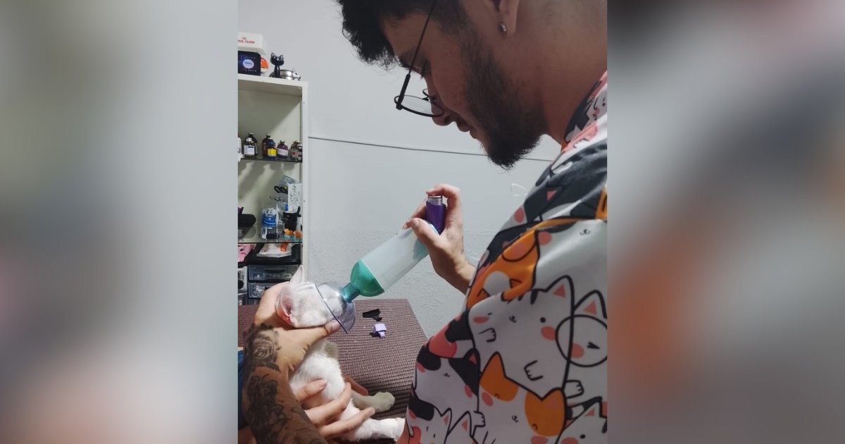 Giro Liquida em Rondonópolis pode modelar promoções para Goiânia