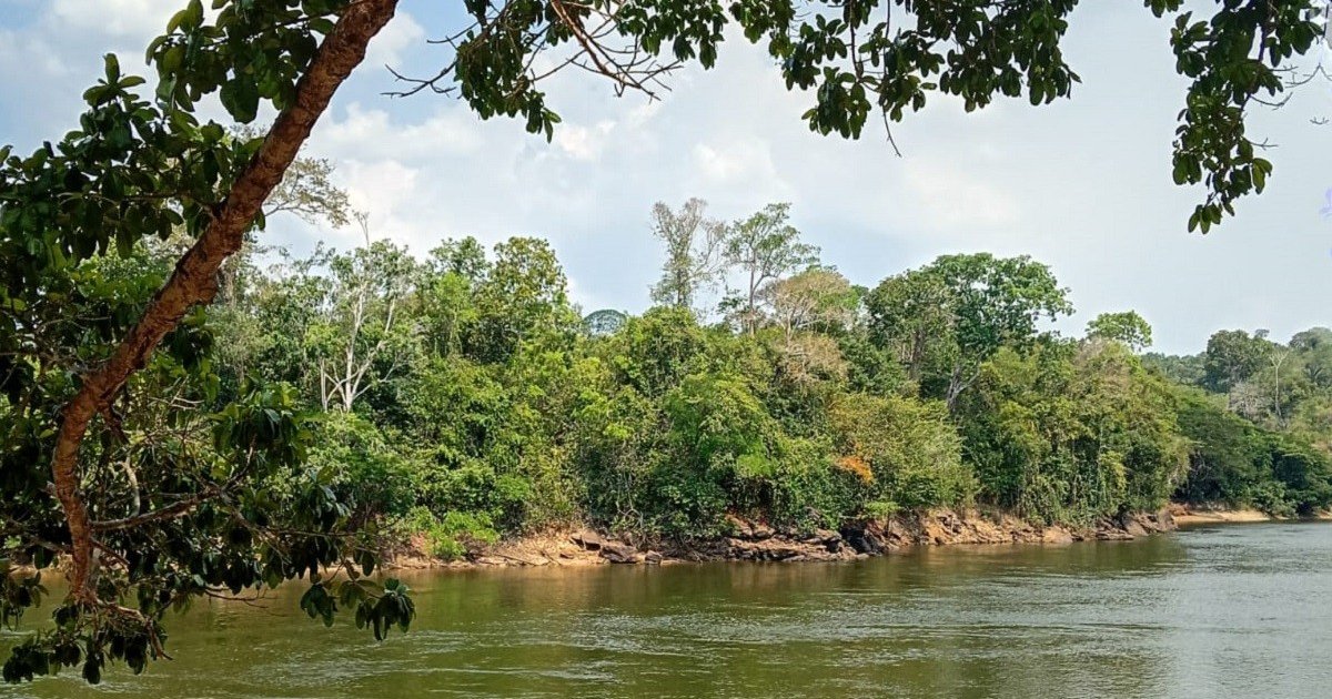 Voluntários retiram lixo das margens do rio Curuá-Una em ação comunitária no Pará