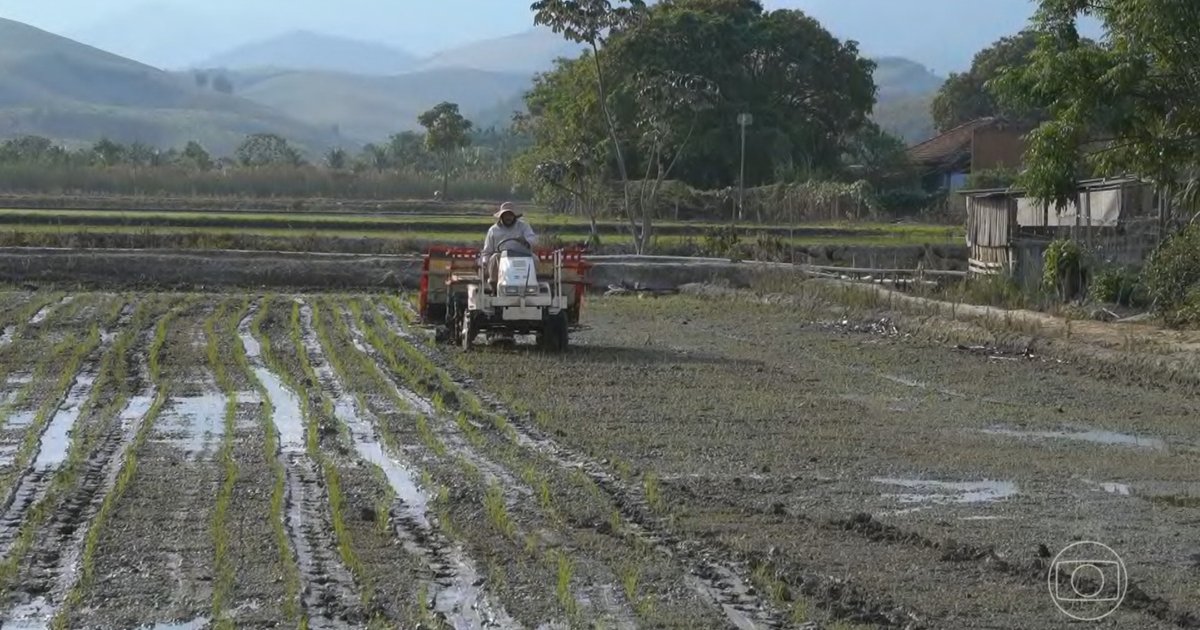 Agricultura Brasileira Afetada por Tarifaço de Trump