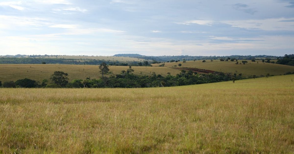 Crise no Estreito de Ormuz Ameaça Produção Agropecuária em Goiás