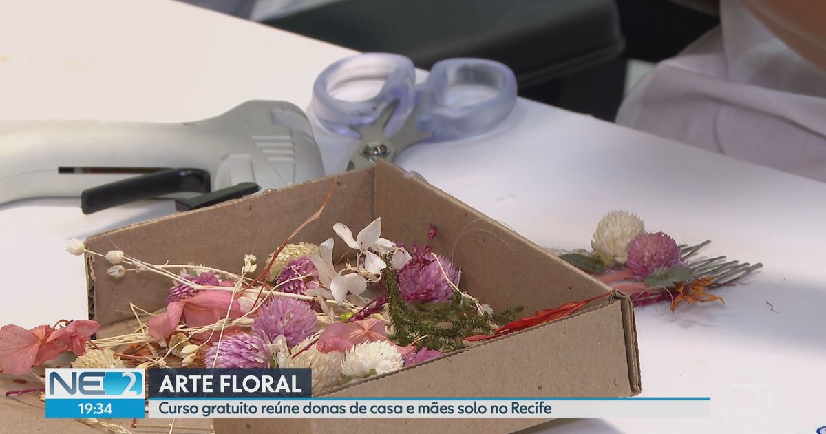 Telejornais NE2 divulgam edição de sábado com notícias de Pernambuco