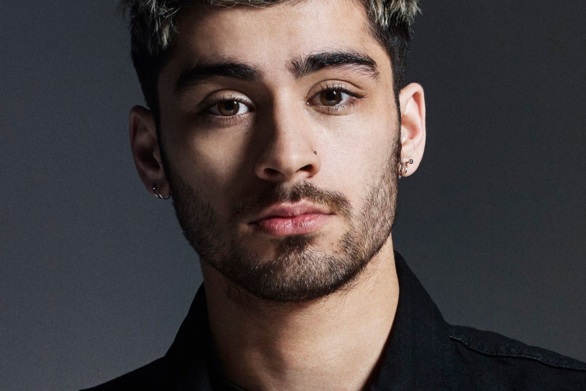 Zayn Malik: Fãs Debatem Bissexualidade