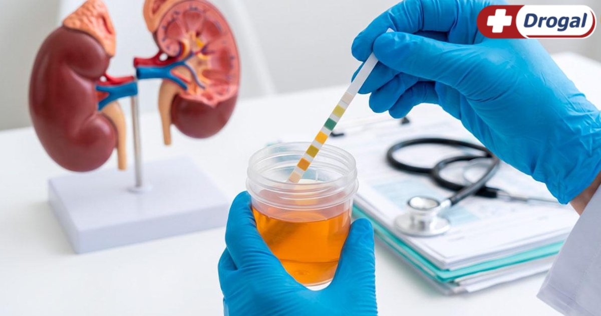 Relação sexual aumenta risco de infecção urinária? Veja como prevenir
