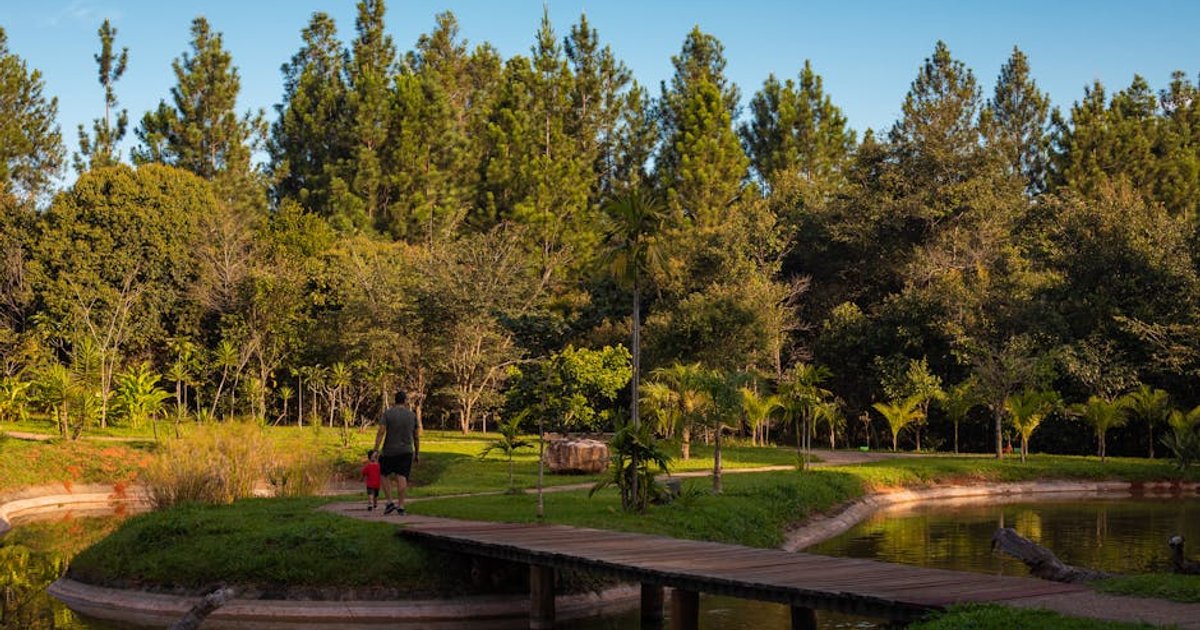 Lagoa Caribe do Cerrado