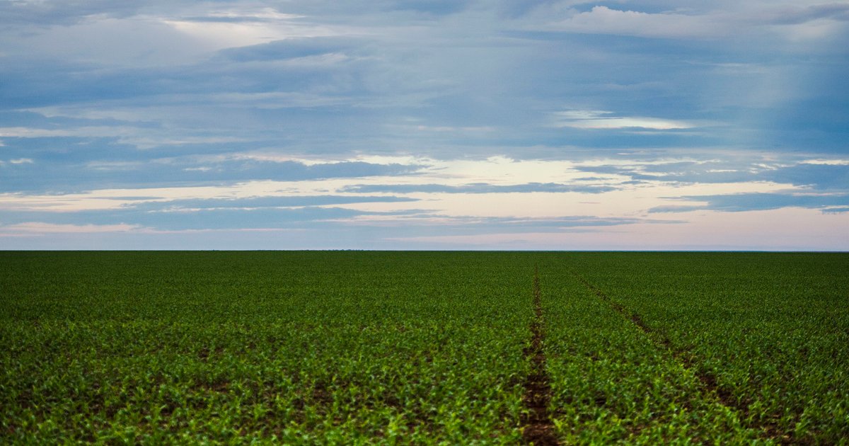 Reciprocidade comercial: governo avança contra tarifas dos EUA e agronegócio goiano monitora desdobramentos