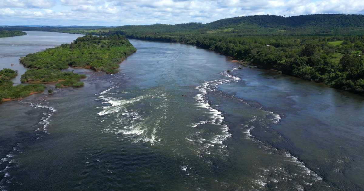Terra da Gente revela o dourado, o peixe mais rápido do Brasil, e inspira Goiás na pesca esportiva