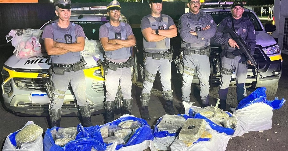 Polícia apreende mais de 560 kg de drogas escondidos em sacos de pipoca em ônibus no interior de SP
