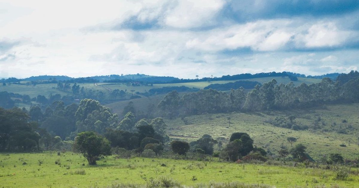 Clima e vegetação de Goiás: o que define o bioma do estado
