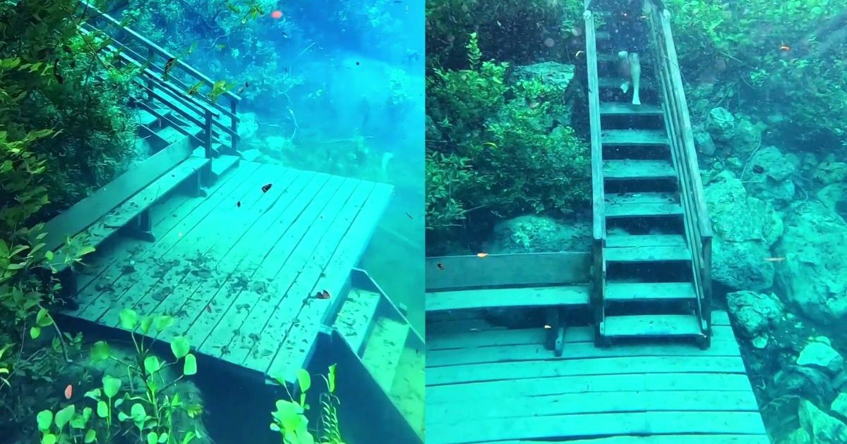 Chuvas intensas elevam nível do Fervedouro Rio Azul e criam cenário submerso na Serra da Bodoquena
