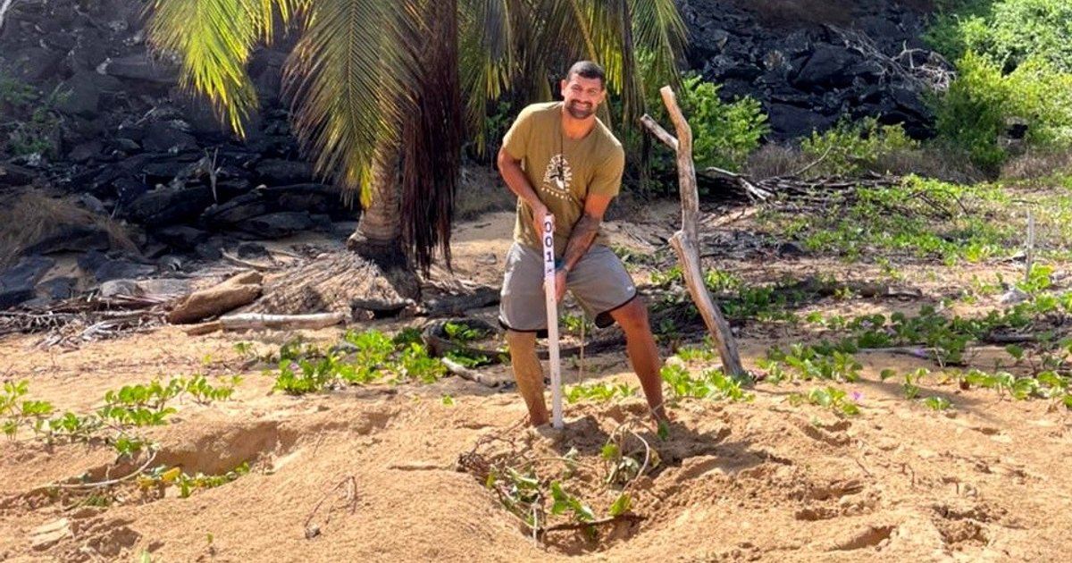 Temporada de desova das tartarugas marinhas começa em Fernando de Noronha com 40 ninhos registrados