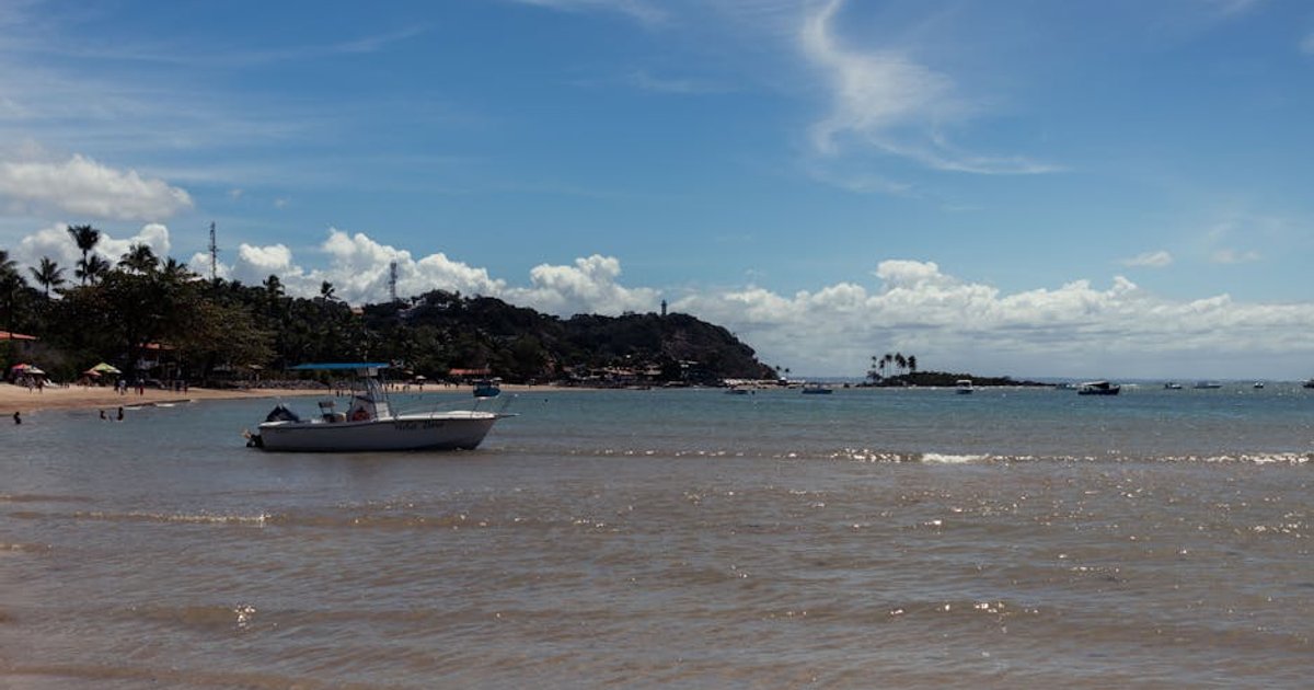 Baleia-jubarte Salta no Mar
