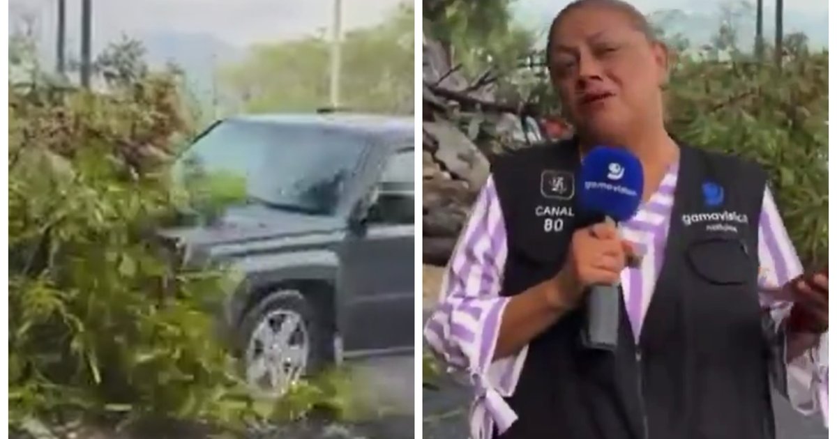 Repórter e cinegrafista são atropelados durante entrada ao vivo em Monterrey