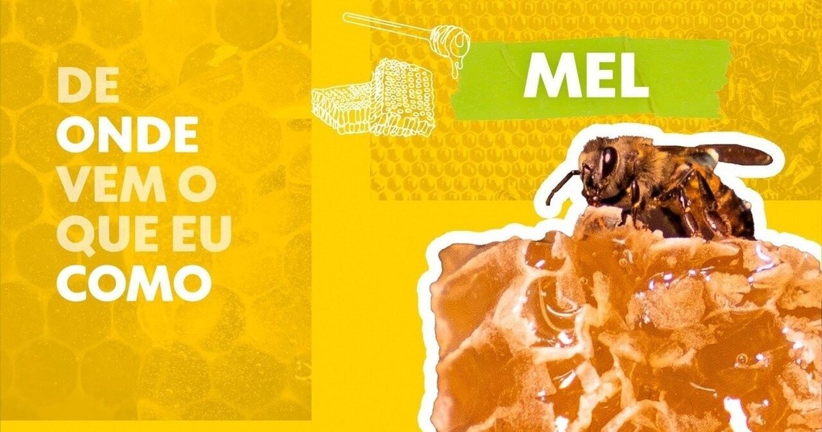 Como um acidente com abelhas africanas mudou a apicultura no Brasil