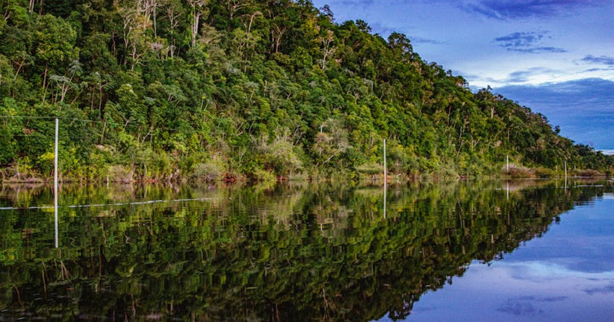 Homem é morto a facadas no Amazonas