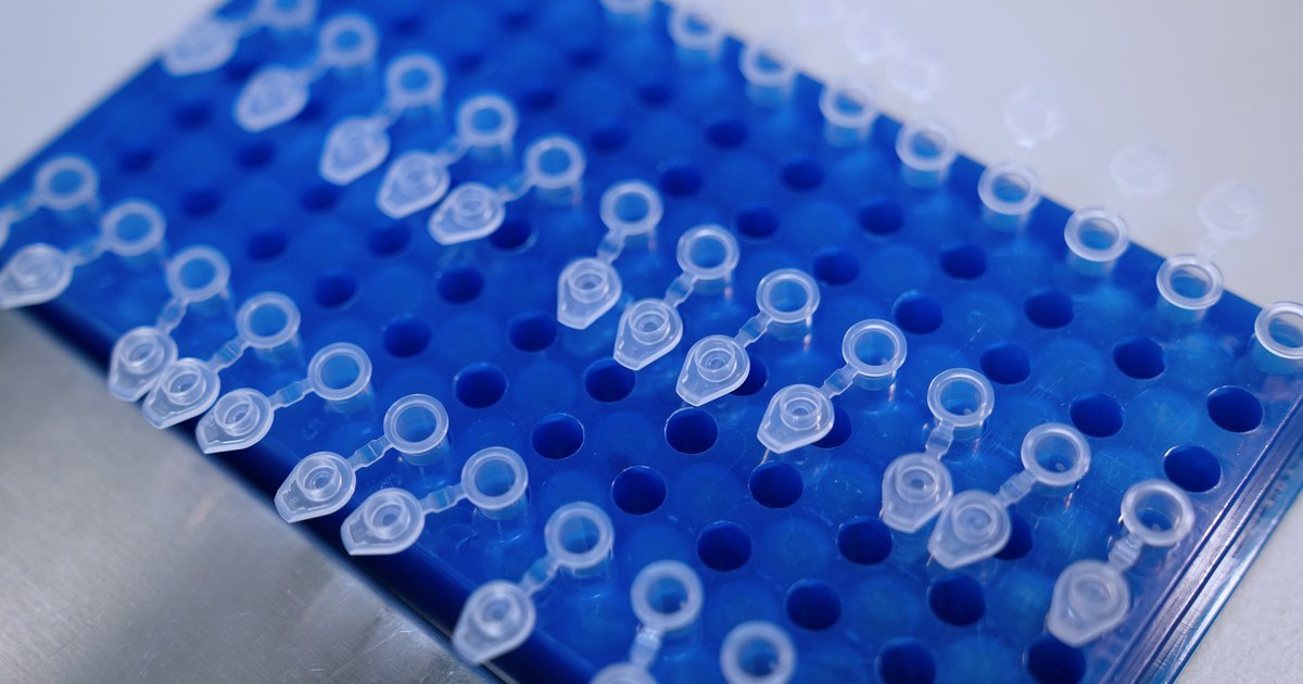 Coleta de DNA em 23 cidades de Goiás vai ajudar buscas por desaparecidos