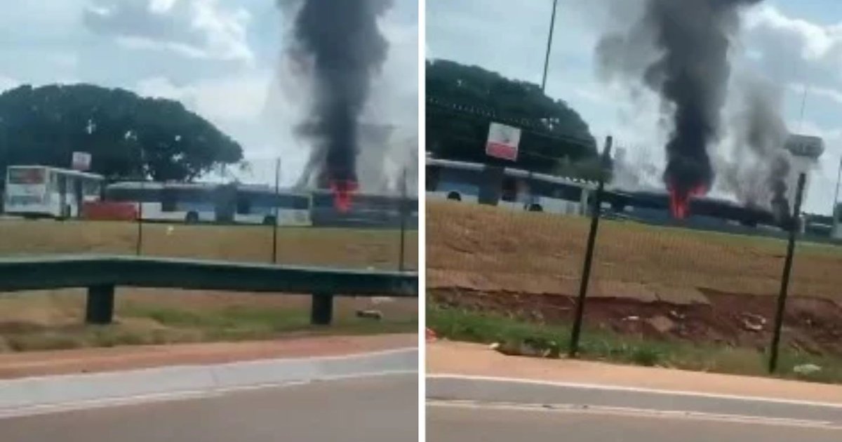 Ônibus pega fogo perto do terminal Padre Pelágio e fumaça escura cobre o céu