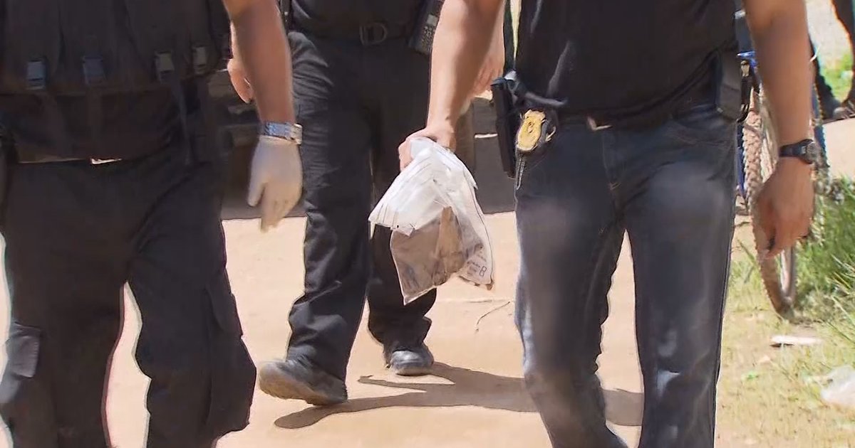 Canibais de Garanhuns: caso que chocou Brasil levanta alerta sobre fiscalização de feiras em Goiânia