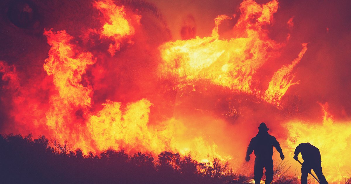 Poluição de incêndios florestais: por que a fumaça ameaça a saúde de toda a população
