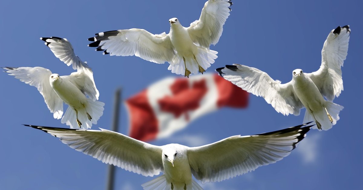 Turismo de Trem no Canadá