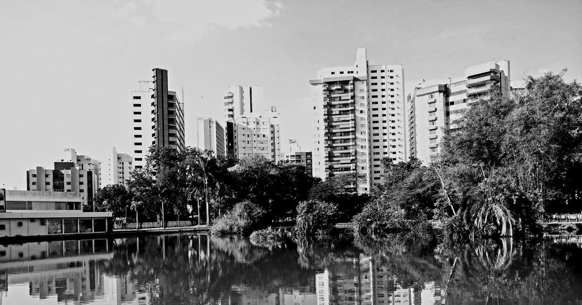 Viagem com Pets em Goiânia