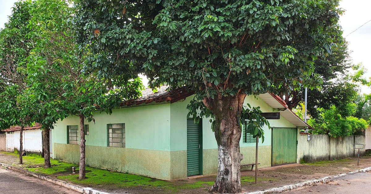 Dicionário Crítico das Vozes Femininas em Goiás