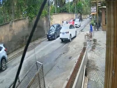 Pitbull escapa de carro após batida e ataca homem em Arraial d'Ajuda