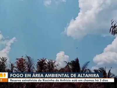 Incêndio atinge reserva extrativista no Pará e seca impede chegada de socorro