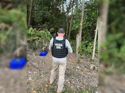 Três corpos carbonizados são achados em mata no Sul de Santa Catarina