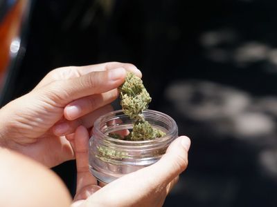 Cannabis medicinal supera 950 mil pacientes no Brasil e impulsiona mercado em Goiânia