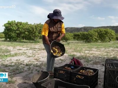 Telejornal Anhanguera 2ª Edição-TO traz balanço de notícias do Tocantins em 4 de julho de 2026