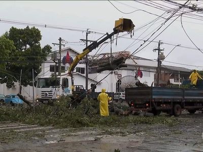 Temporal no interior de SP derruba 250 árvores e deixa 80 mil sem energia