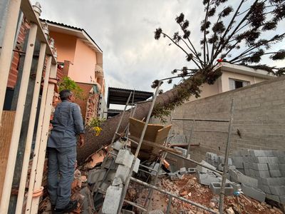 Frente de rajada provoca ventos acima de 120 km/h no Sudeste e acende alerta