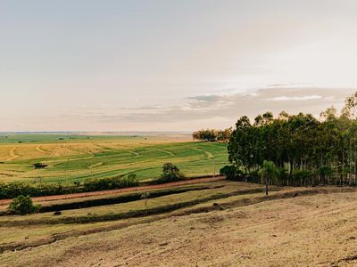 Goiás amplia produção agrícola