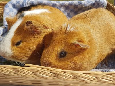 Paula Fernandes Desfruta Férias na Sardenha