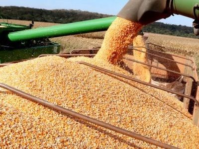 Safra de soja em Goiás projeta maior custo de produção da história