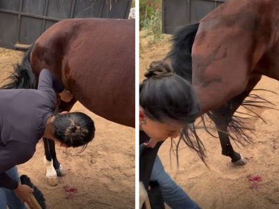 Veterinária leva coice de cavalo durante gravação e vídeo passa de 4 milhões
