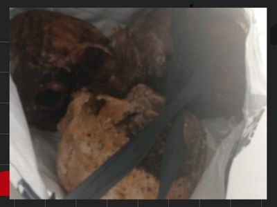 Paciente do CAPS é encontrado com três crânios humanos em sacola no RS