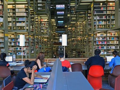 Biblioteca da Floresta registra mais de 1,3 mil visitas