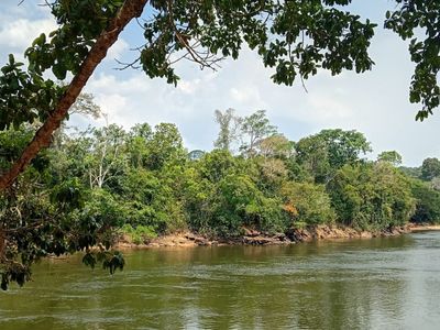 Voluntários retiram lixo das margens do rio Curuá-Una em ação comunitária no Pará
