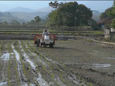 Agricultura Brasileira Afetada por Tarifaço de Trump