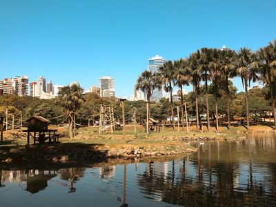 Goiás tem 4ª maior queda em roubos de celular no país