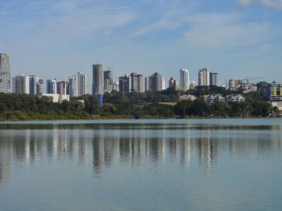 Pirarucu gigante aparece em lago de bairro goianiense e intriga moradores